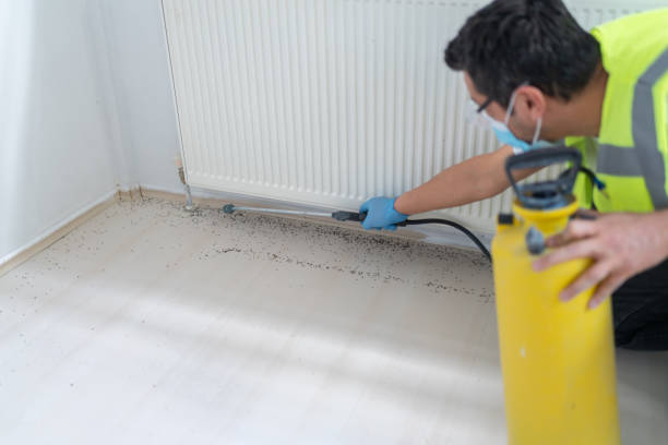 Best Mosquito Control Services  in , IN